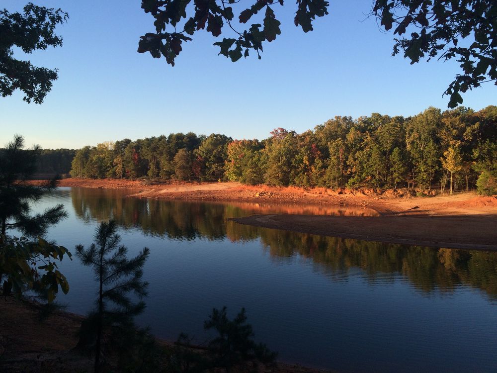 Escape to Serenity:  Unwind at South Carolina's Sadler's Creek State Park