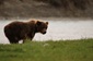 Bild von The Travelmonkey