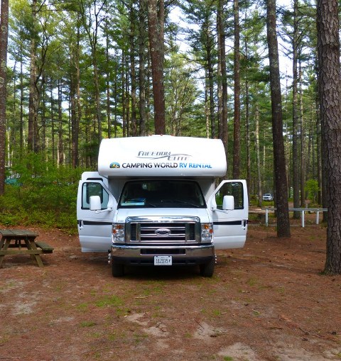 Pinewood Lodge2