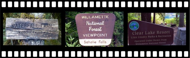 McKenzie River Area