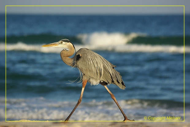 St. George Island SP