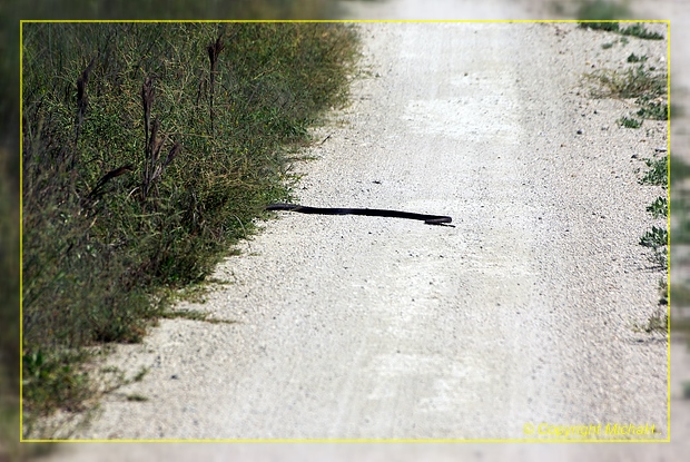 St. George Island SP