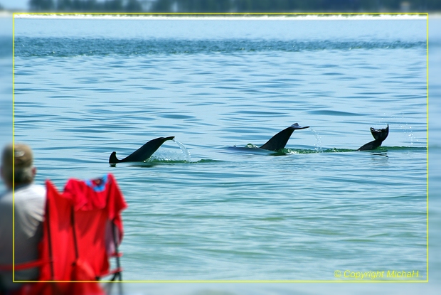 St. George Island SP