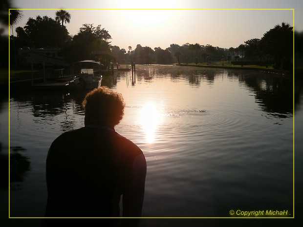 Swim with Manatees