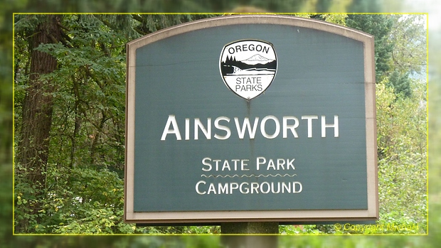 Ainsworth SP