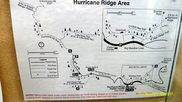 Hurricane Ridge Area