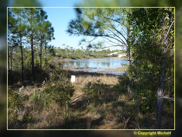 St. George Island State Park