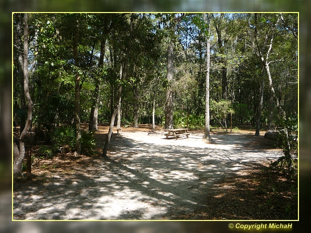 Manatee Springs SP