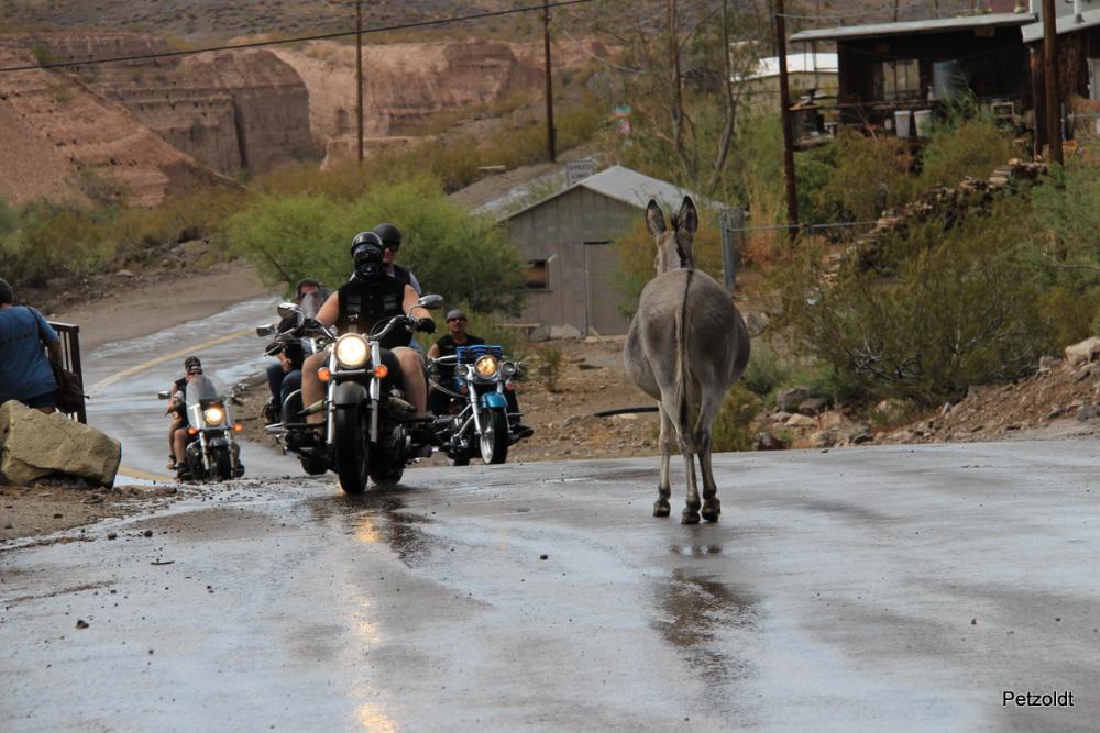 13_07_28_EOS650_04724