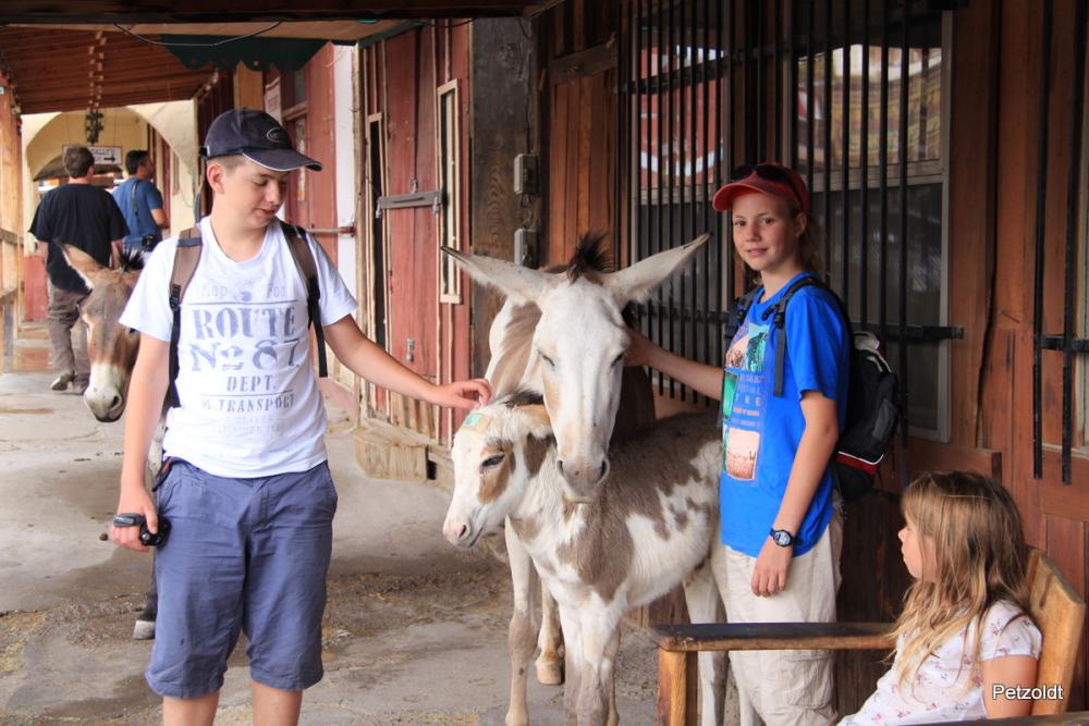 13_07_28_EOS650_04734