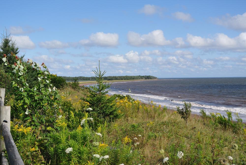 Caribou-Munroes Island Provincial Park, Campground, Pictou, Nova Scotia