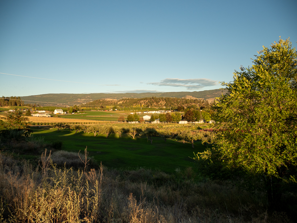 Blick vom Stellplatz in die Landschaft bei Kelowna