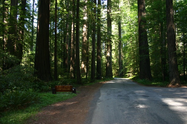 Escape to Albee Creek: Your Northern California Campground Adventure