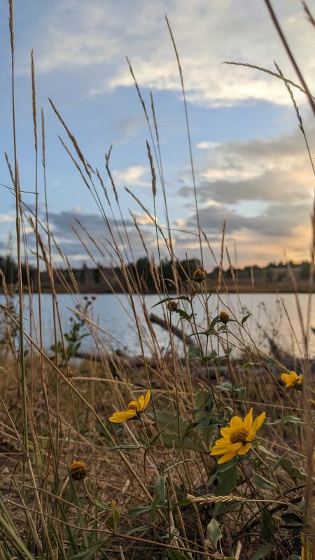 Escape to Serenity: Your Guide to Dumont Lake Campground in Colorado