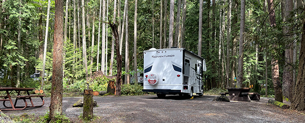 Wohnmobil im Wald