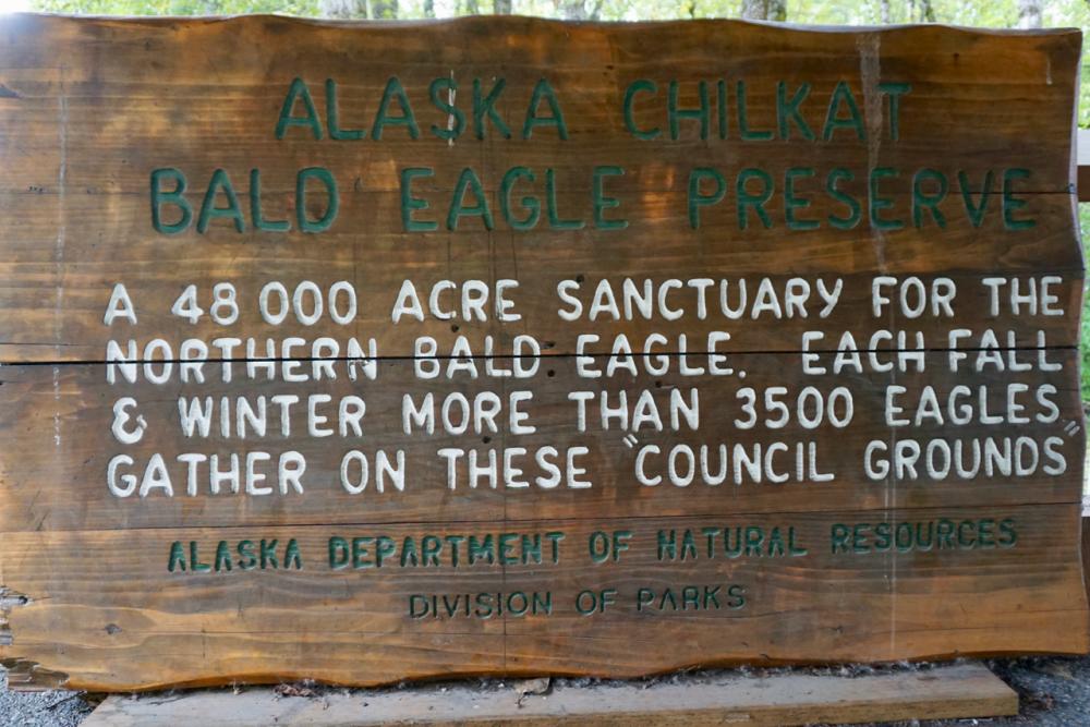 Chilkat Bald Eagle Preserve / Alaska