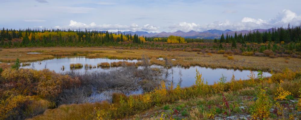 Alaska Highway zwischen Kluane Lake und Haines Junction/Yukon