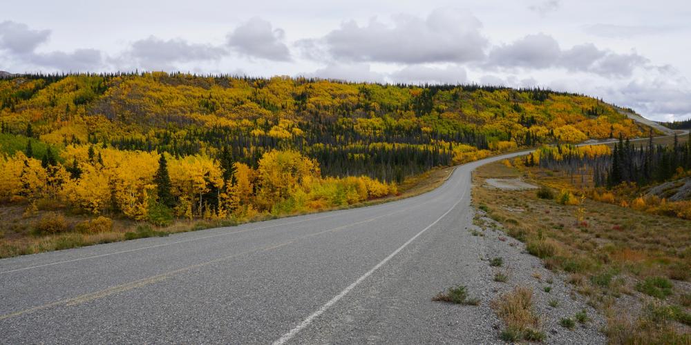 Alaska Highway zwischen Kluane Lake und Haines Junction/Yukon