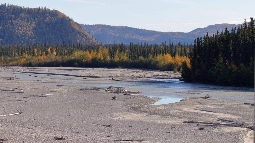 Alaska Highway zwischen Delta Junction und Dot Lake/Alaska