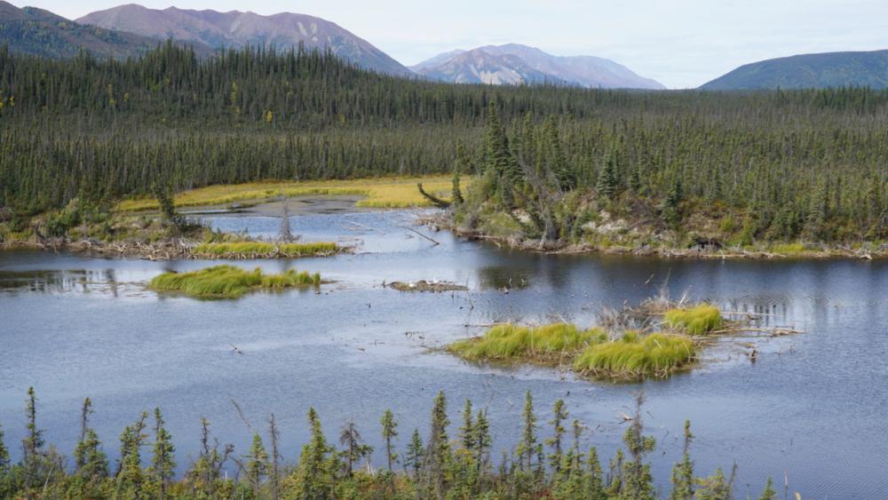 Alaska Highway zwischen Kluane River Viewpoint und Pickhandle Lake