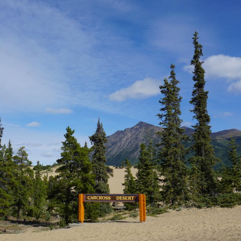 Carcross Desert / Yukon