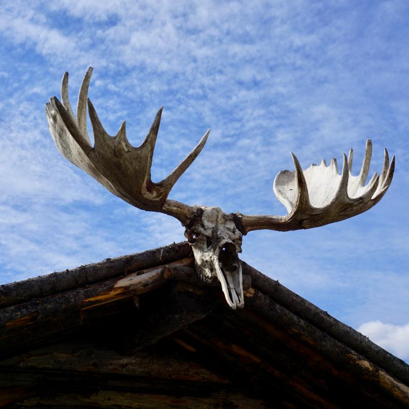 Caribou Crossing Trading Post - Klondike Hwy / Yukon