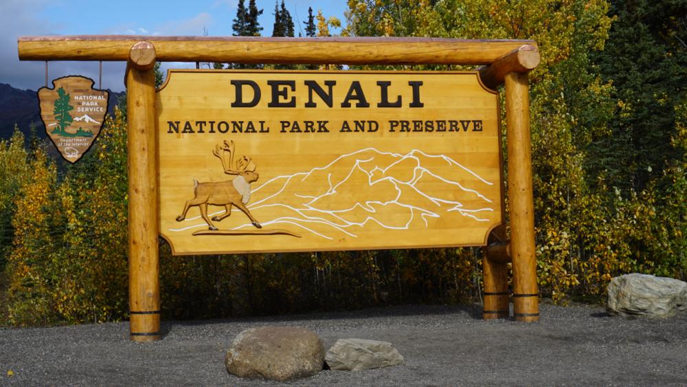 Denali National Park / Alaska