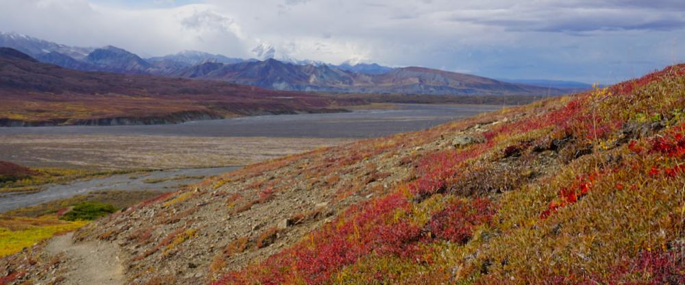 Yukon/Alaska 2017 - Denali N.P. - Eielson Visitor Center