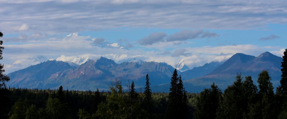 Denali Viewpoint South / Alaska