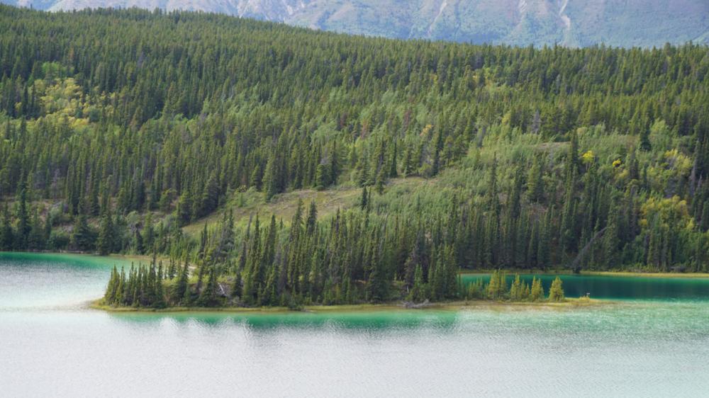 Emerald Lake / Yukon