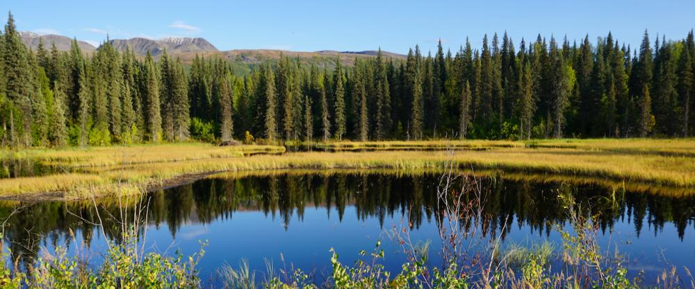 George Parks Highway / Alaska