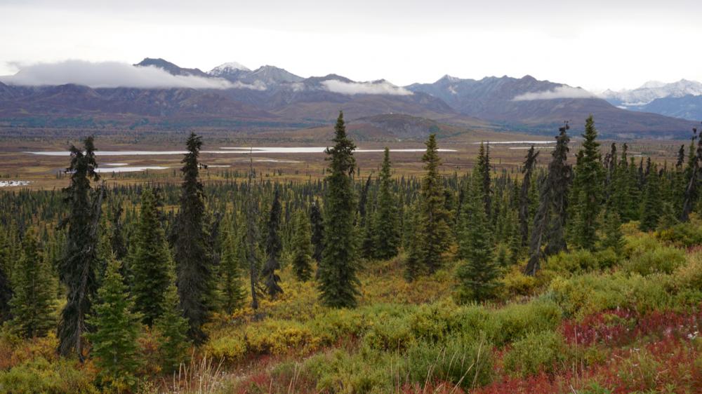 Glenn Highway / Alaska