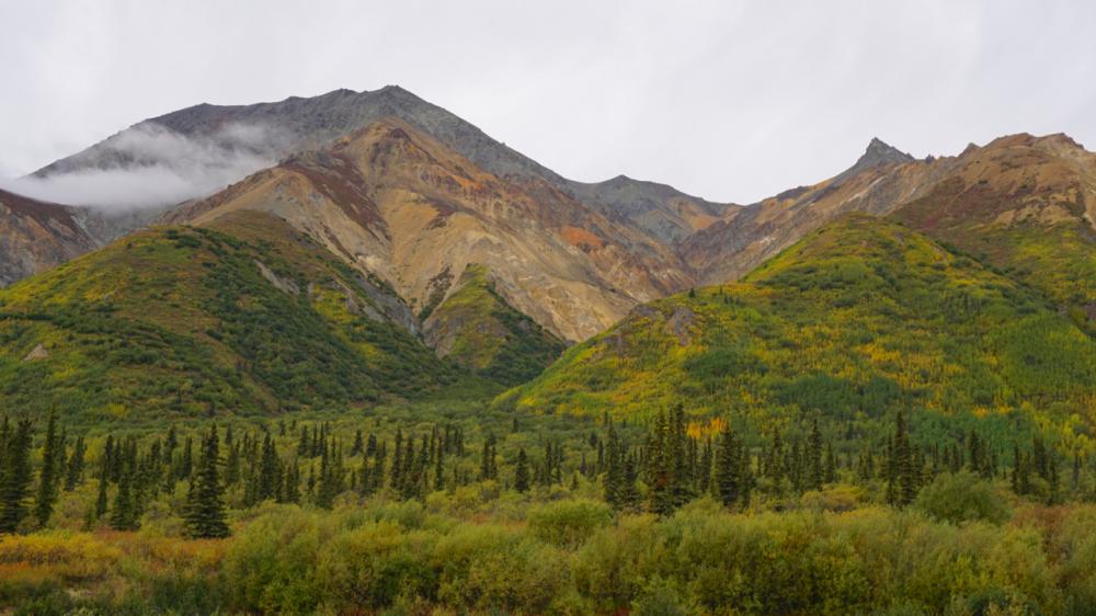 Glenn Highway / Alaska