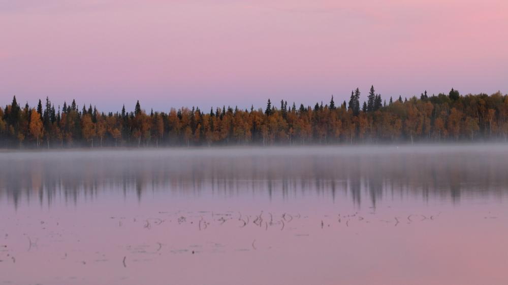 Sonnenaufgang am Little Lost Lake - Quartz Lake State Red. Area / Alaska