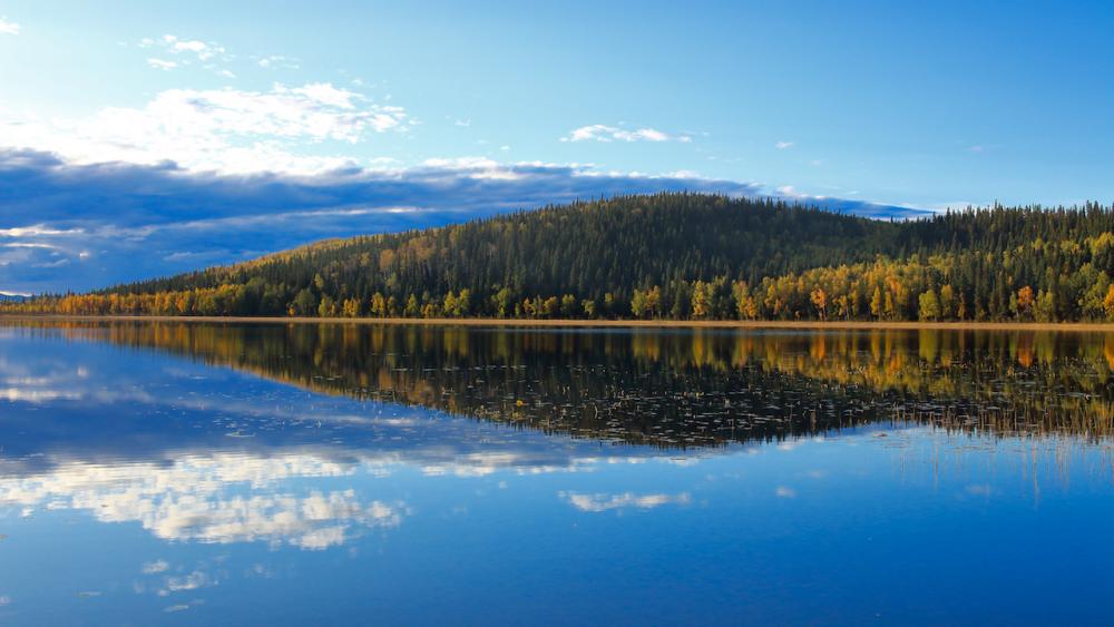 Little Lost Lake - Quartz Lake State Red. Area / Alaska