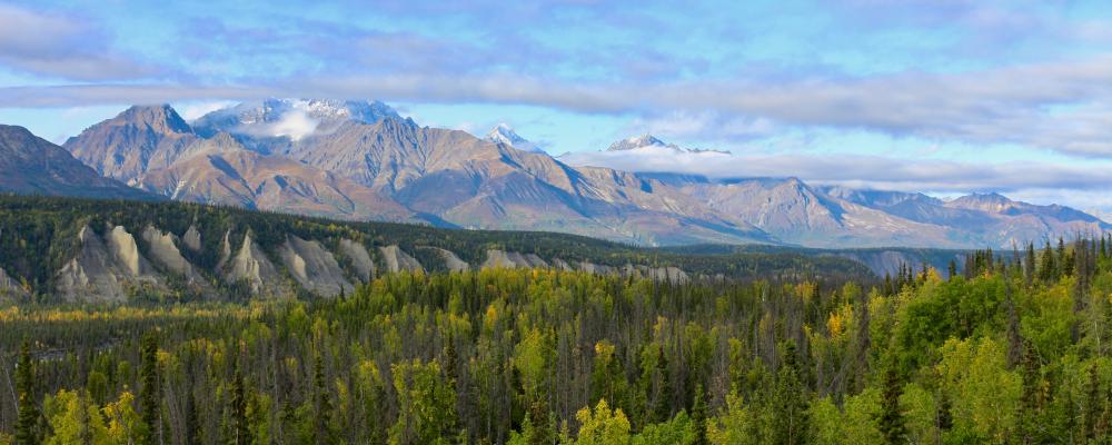 Beim Matanuska Glacier / Alaska