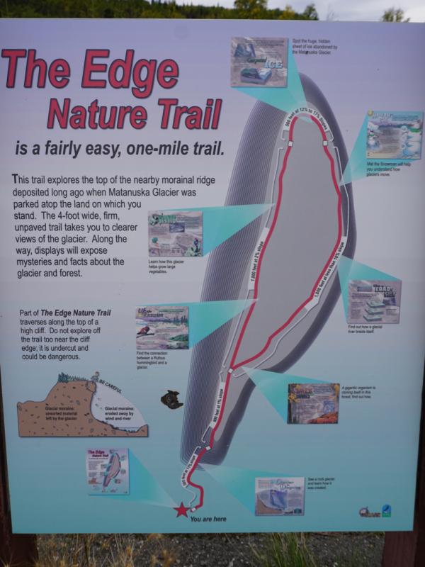 Nature Trail beim Campground Matanuska Glacier State Recreation Site / Alaska