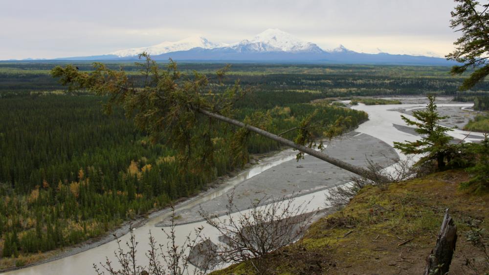 Tazlina River am Richardson Highway / Alaska