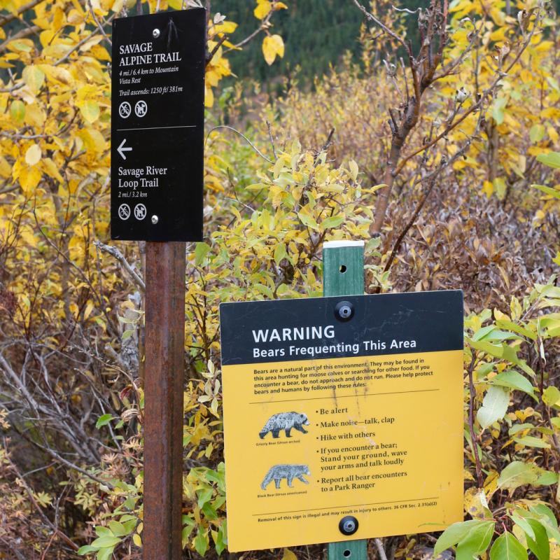 Savage River Trails - Denali N.P./Alaska