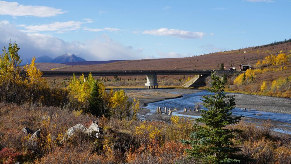 Savage River - Denali N.P./Alaska