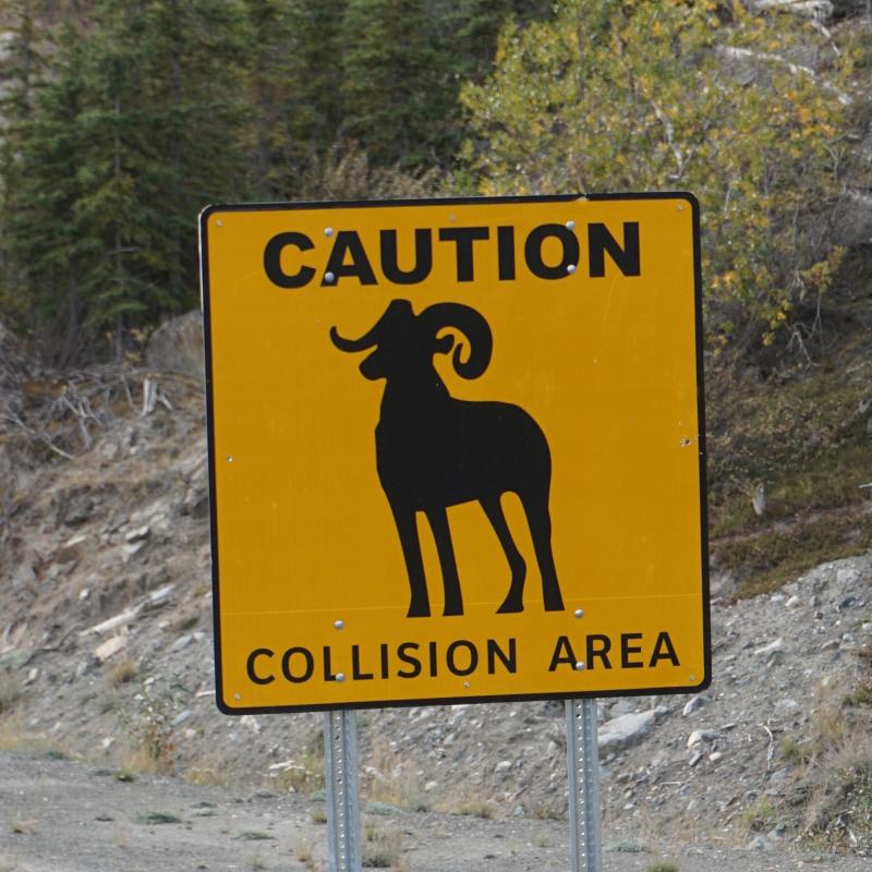 "Sheep Mountain" - Thachäl Dhäl Visitor Center / Yukon