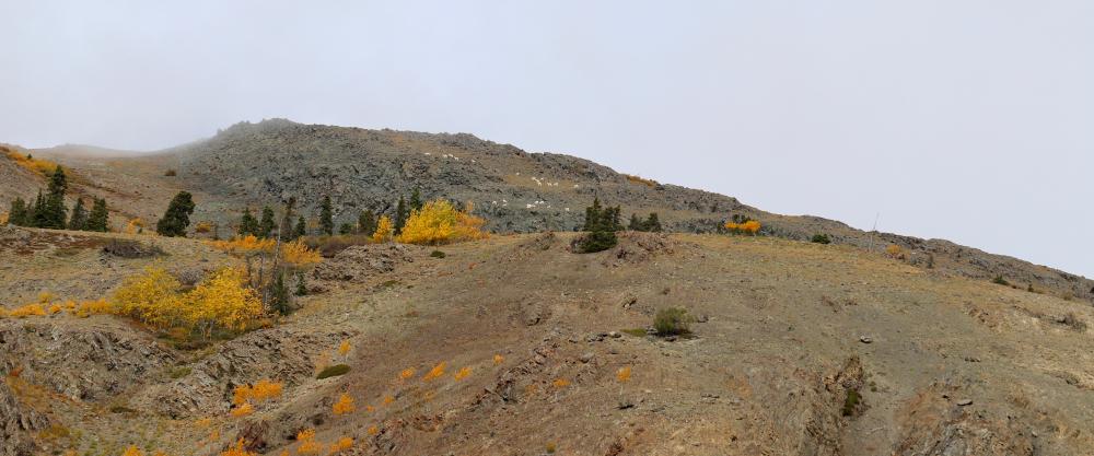 "Sheep Mountain" - Thachäl Dhäl Visitor Center / Yukon