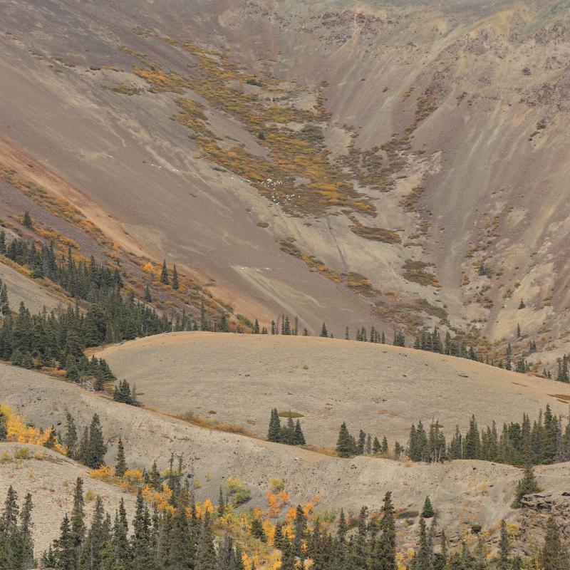 "Sheep Mountain" - Thachäl Dhäl Visitor Center / Yukon