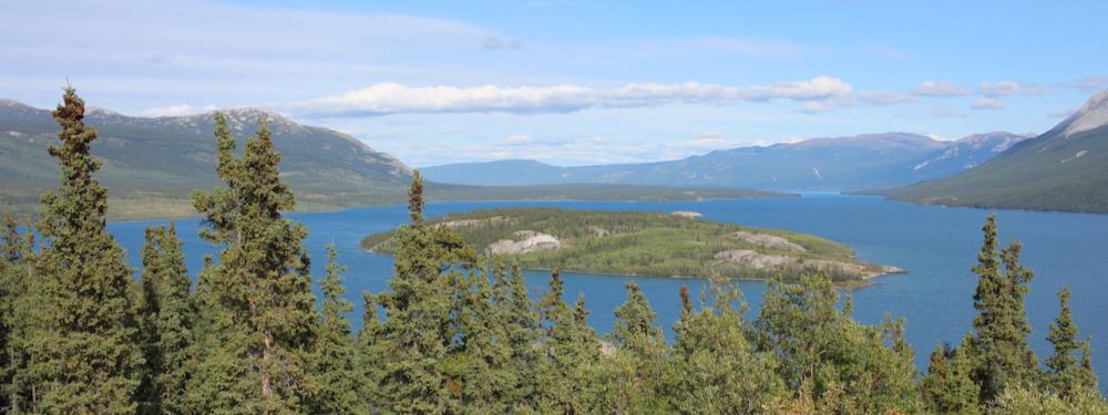 Tagish Lake mit Dove Island / Yukon
