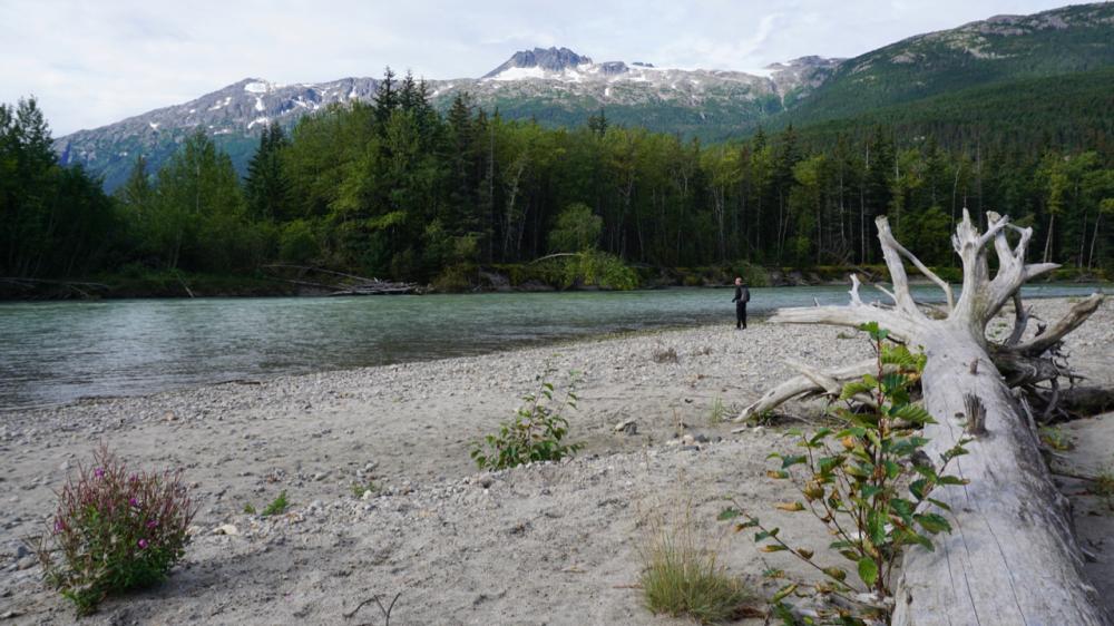 Taiya River am Dyea Campground / Alaska