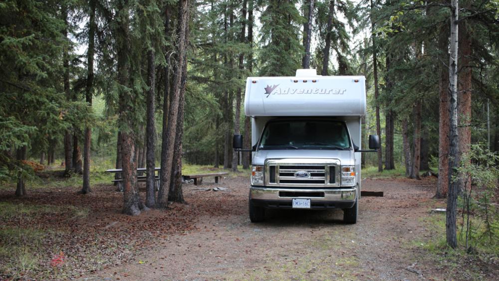 Eagle Trail State Rec. Area bei Tok / Alaska