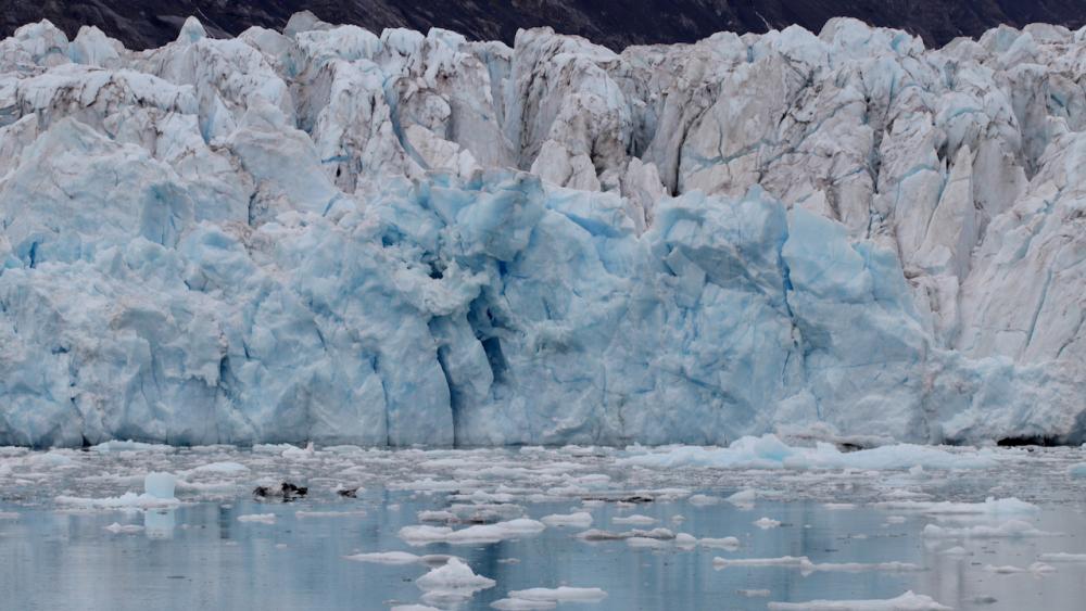 Columbia Glacier - Valdez/Alaska