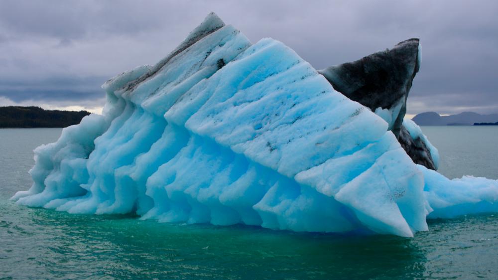Prince William Sound bei Valdez/Alaska