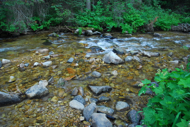 Escape to Idaho's Wilderness: Ten Mile Campground, Your Gateway to Adventure