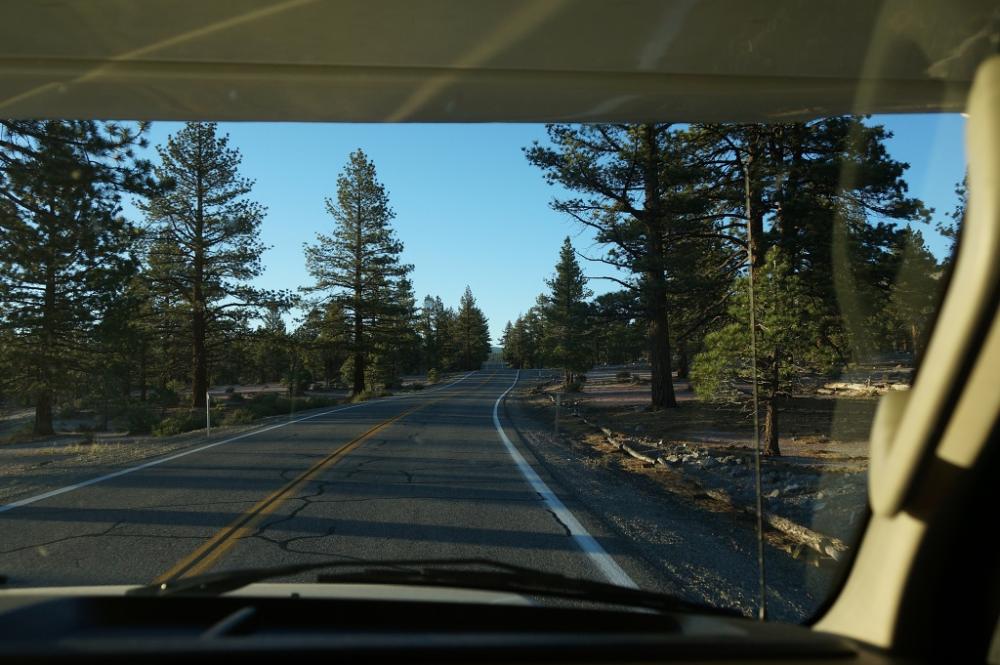 Hwy #120 über Mono Mills